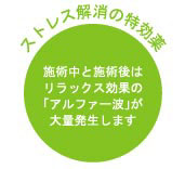 �X�g���X�����̓�����