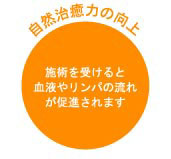 ���R�����͂̌���